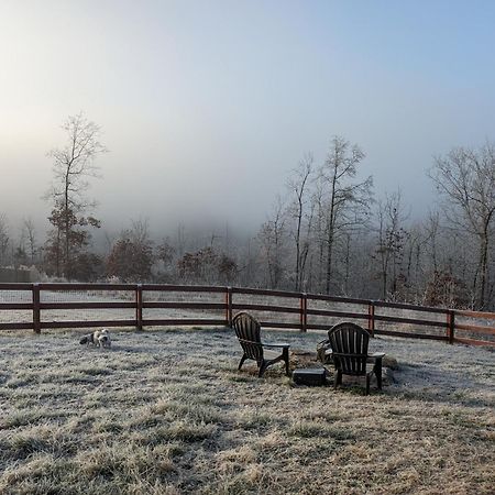 Great Little Guest Suite With Private Entry & Deck! Pet Friendly & 30 Mins To Nashville! Ashland City Экстерьер фото