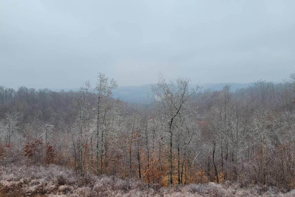 Great Little Guest Suite With Private Entry & Deck! Pet Friendly & 30 Mins To Nashville! Ashland City Экстерьер фото